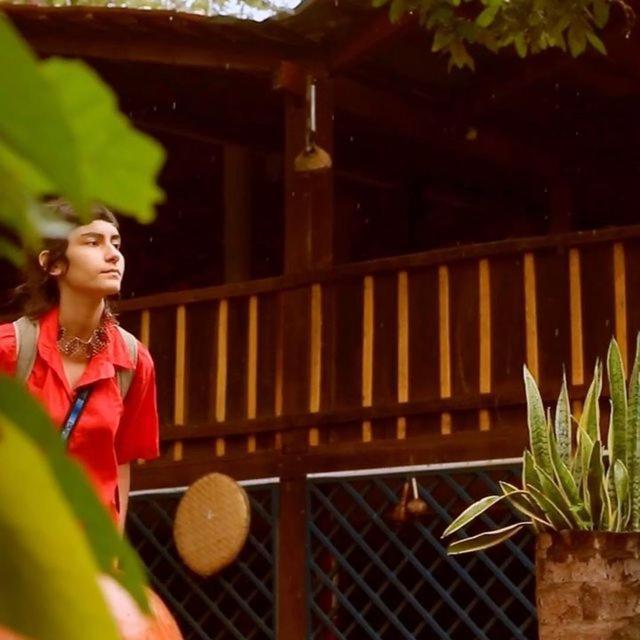 Hospedagem Aldeia Do Leao Hotel Carolina  Luaran gambar