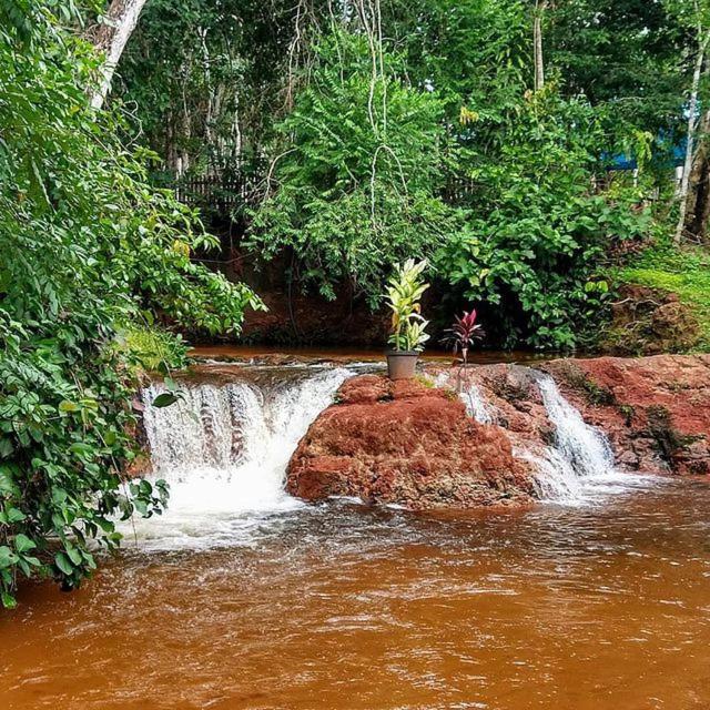 Hospedagem Aldeia Do Leao Hotel Carolina  Luaran gambar